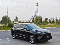 Great Wall Lanshan AWD Max - ფოტო 2