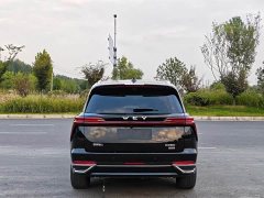 Great Wall Lanshan AWD Max - ფოტო 8
