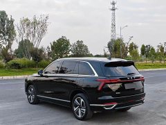 Great Wall Lanshan AWD Max - ფოტო 9