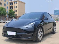 Tesla Model Y Standard Range Edition - ფოტო 1