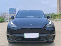 Tesla Model Y Standard Range Edition - ფოტო 2