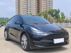Tesla Model Y Standard Range Edition - ფოტო 3