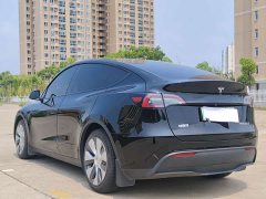 Tesla Model Y Standard Range Edition - ფოტო 6