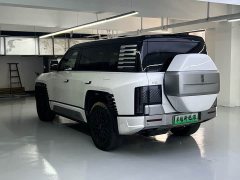 Yangwang U8 Luxury Edition - ფოტო 8