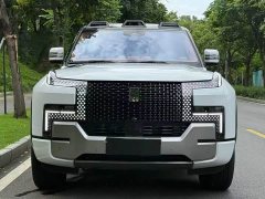 Yangwang U8 Luxury Edition - ფოტო 2