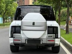 Yangwang U8 Luxury Edition - ფოტო 5