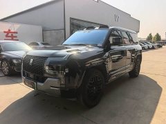 Yangwang U8 Luxury Edition - ფოტო 1