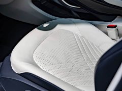 Lamborghini DBX 3.0T STRAIGHT-SIX - ფოტო 13