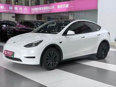 Tesla Model Y Edition - ფოტო 1