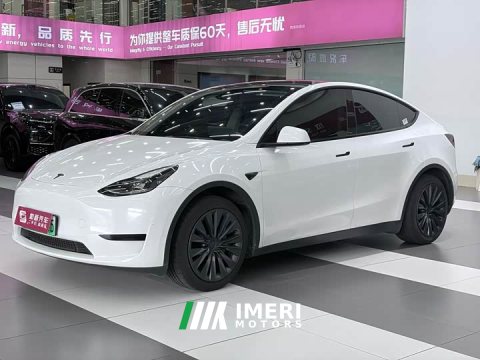 2024 Tesla Model Y Edition - ავტომობილი ჩინეთიდან
