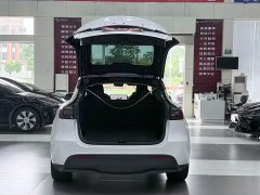 Tesla Model Y Edition - ფოტო 10