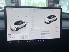 Tesla Model Y Edition - ფოტო 12