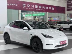 Tesla Model Y Edition - ფოტო 2