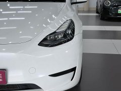 Tesla Model Y Edition - ფოტო 4