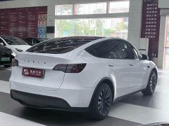 Tesla Model Y Edition - ფოტო 6