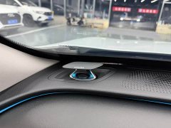 Xpeng P7 670E - ფოტო 19