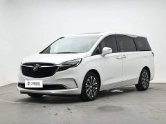 Buick GL8 ES 653T Flagship Version - ფოტო 1