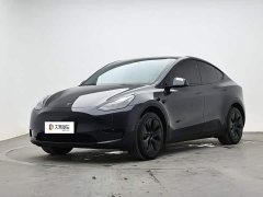 Tesla Model Y Edition - ფოტო 1