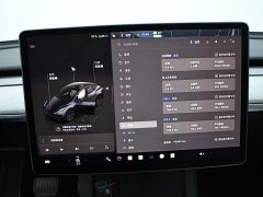 Tesla Model Y Edition - ფოტო 11