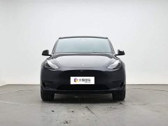 Tesla Model Y Edition - ფოტო 2