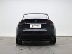 Tesla Model Y Edition - ფოტო 4