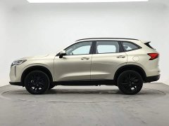 Haval H6 1.5T 2WDUltra - ფოტო 6