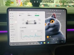 Nio ES8 Edition - ფოტო 12