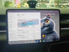 Nio ES8 Edition - ფოტო 14