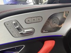 MG GLE AMG GLE 53 4MATIC - ფოტო 9