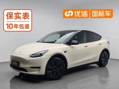 Tesla Model Y Long Range Edition - ფოტო 1
