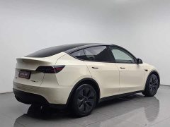 Tesla Model Y Long Range Edition - ფოტო 2