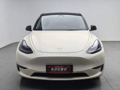 Tesla Model Y Long Range Edition - ფოტო 3