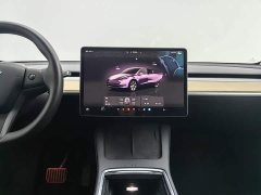 Tesla Model Y Edition - ფოტო 12