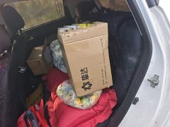 Changan E-Star Edition (31.86kWh) - ფოტო 13