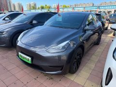 Tesla Model Y Edition - ფოტო 1