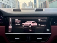 Porsche Cayenne 3.0T - ფოტო 13
