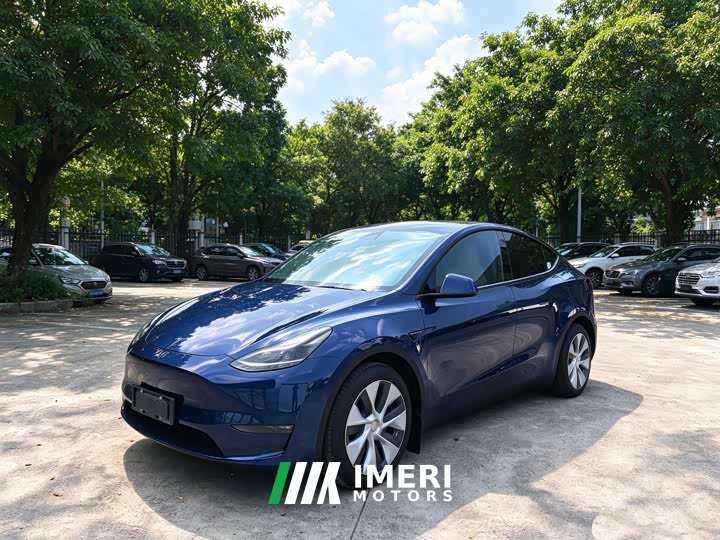 Tesla Model Y Long Range Edition - ავტომობილი ჩინეთიდან