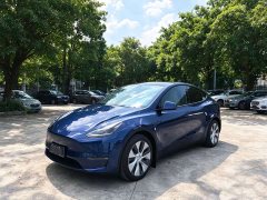 Tesla Model Y Long Range Edition - ფოტო 1