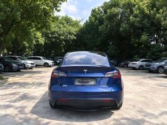 Tesla Model Y Long Range Edition - ფოტო 2