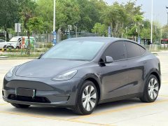 Tesla Model Y Long Range Edition - ფოტო 1