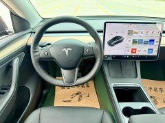 Tesla Model Y Long Range Edition - ფოტო 10