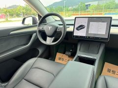 Tesla Model Y Long Range Edition - ფოტო 16