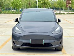 Tesla Model Y Long Range Edition - ფოტო 3
