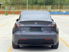 Tesla Model Y Long Range Edition - ფოტო 4