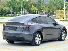 Tesla Model Y Long Range Edition - ფოტო 5