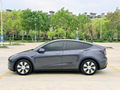 Tesla Model Y Long Range Edition - ფოტო 7