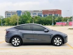 Tesla Model Y Long Range Edition - ფოტო 8