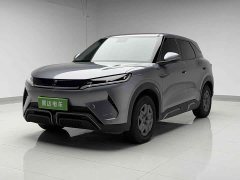 BYD UP 401KM Edition - ფოტო 1