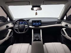 BYD UP 401KM Edition - ფოტო 11