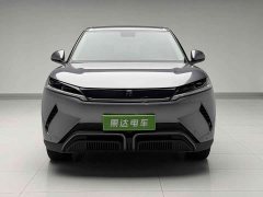 BYD UP 401KM Edition - ფოტო 2